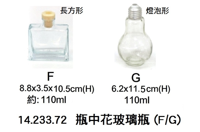 14.233.72 _瓶中花玻璃瓶 (F｜G)