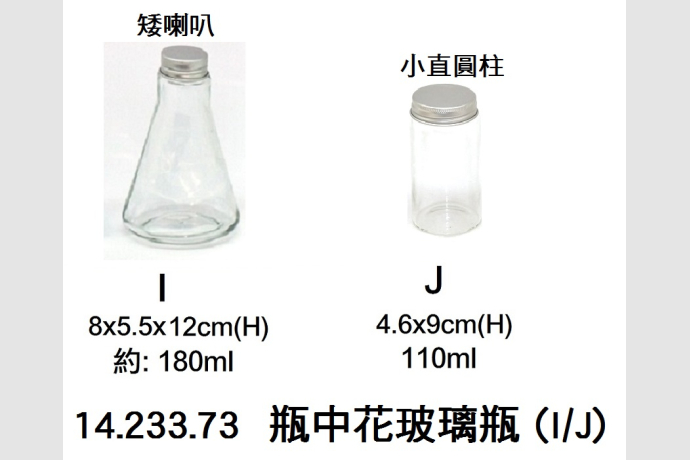 14.233.73 _瓶中花玻璃瓶 (I｜J)
