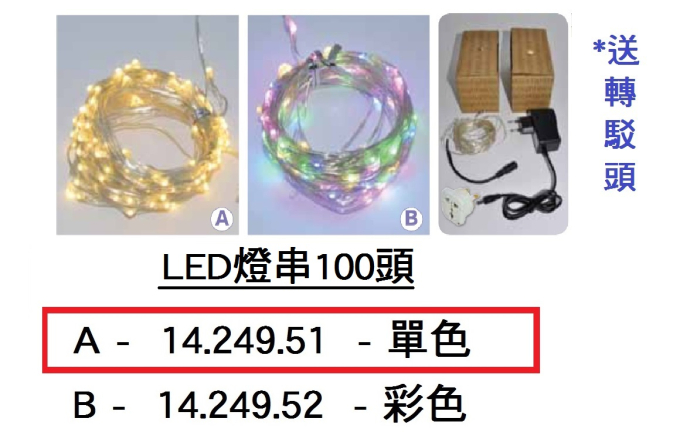 14.249.51 _LED燈串100頭 (A款)