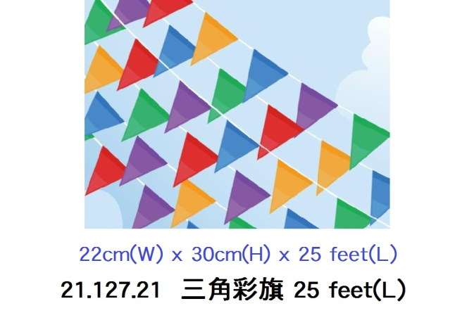 21.127.21 _三角彩旗 25 feet(L)