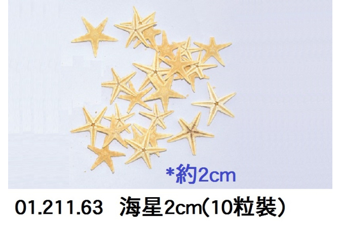 01.211.63 _海星2cm(10粒裝)