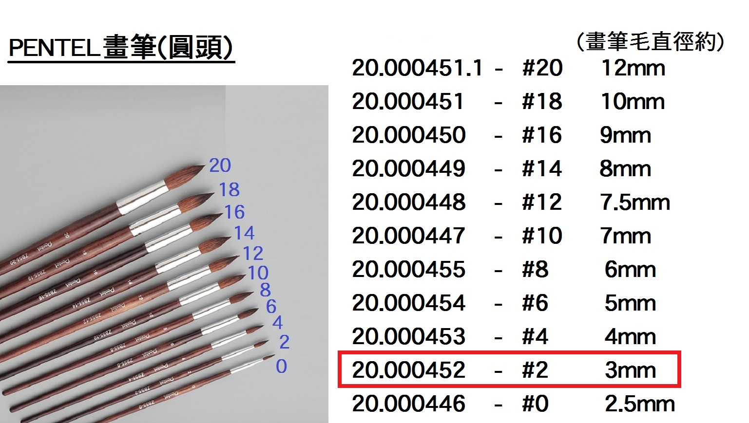 20.000452 _PENTEL畫筆(圓頭) #2