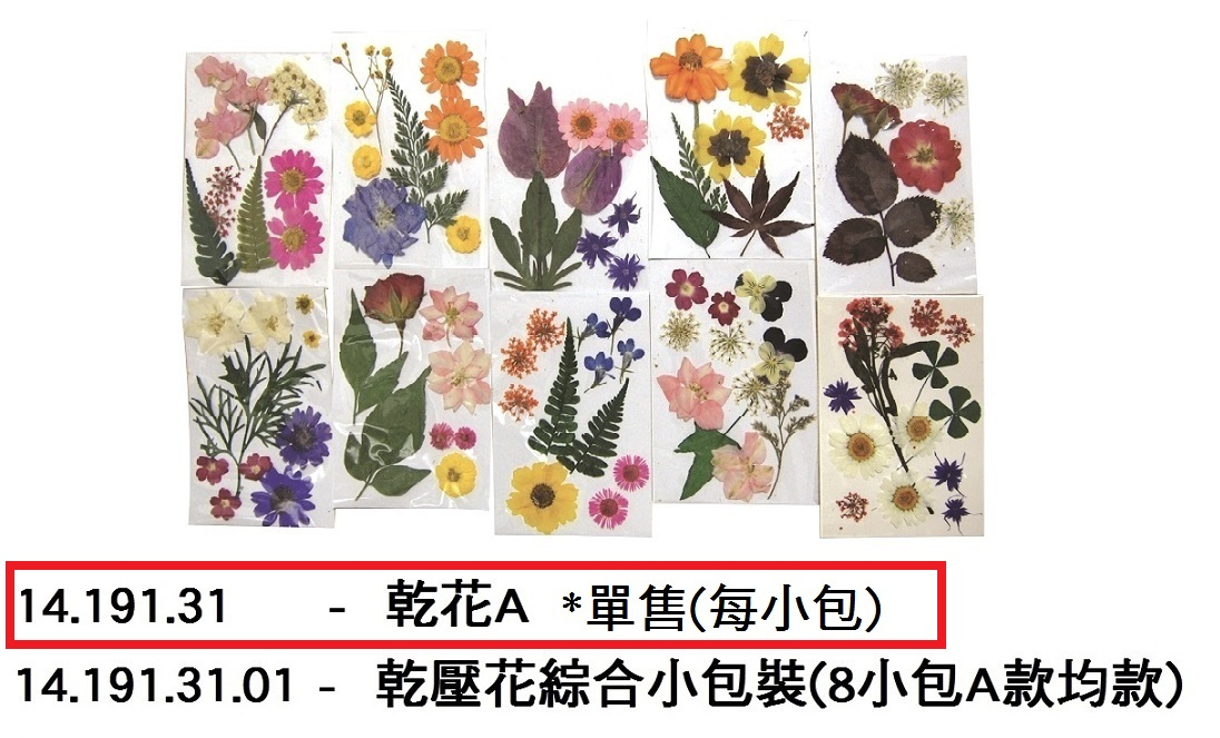 14.191.31 _乾花A