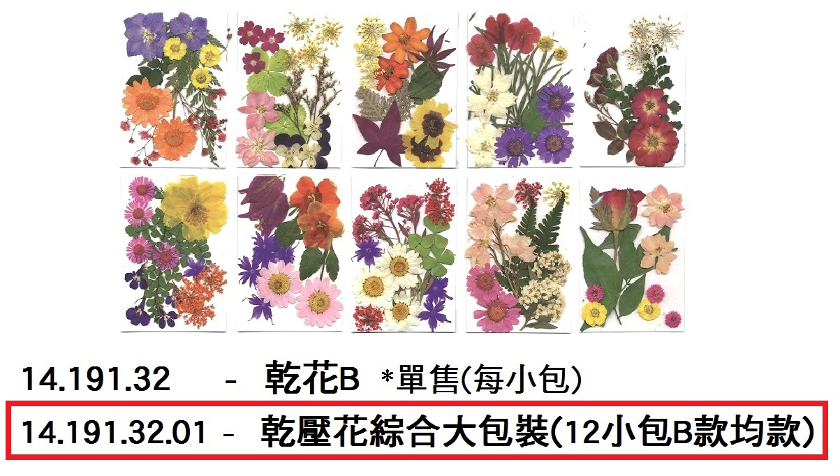 14.191.32.01 _乾壓花綜合大包裝(12小包B款均款)