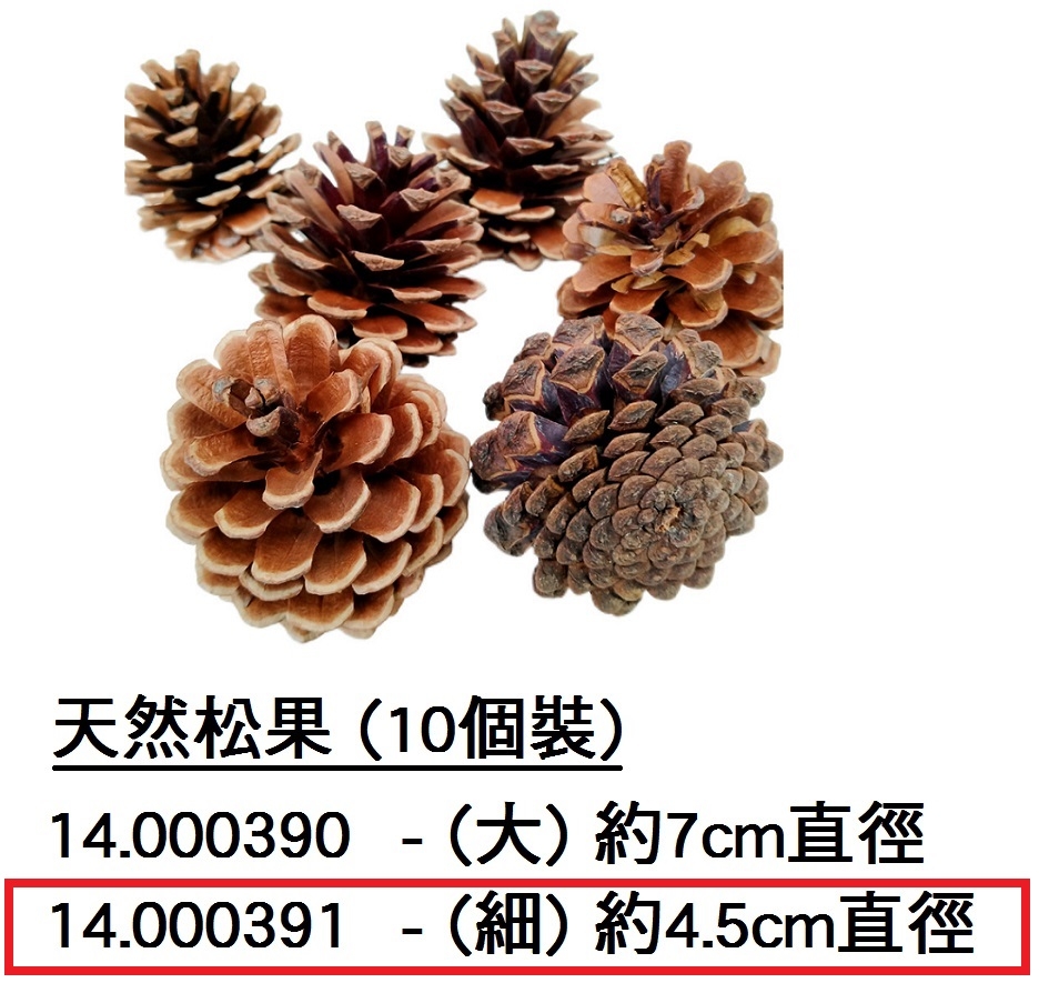 14.000391 _松果(細) 約4.5cm直徑(10個裝)