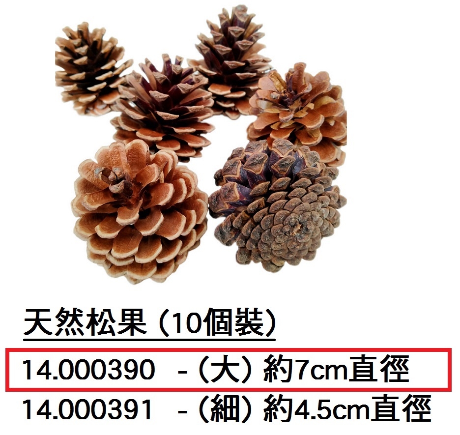 14.000390 _松果(大) 約7cm直徑(10個裝)