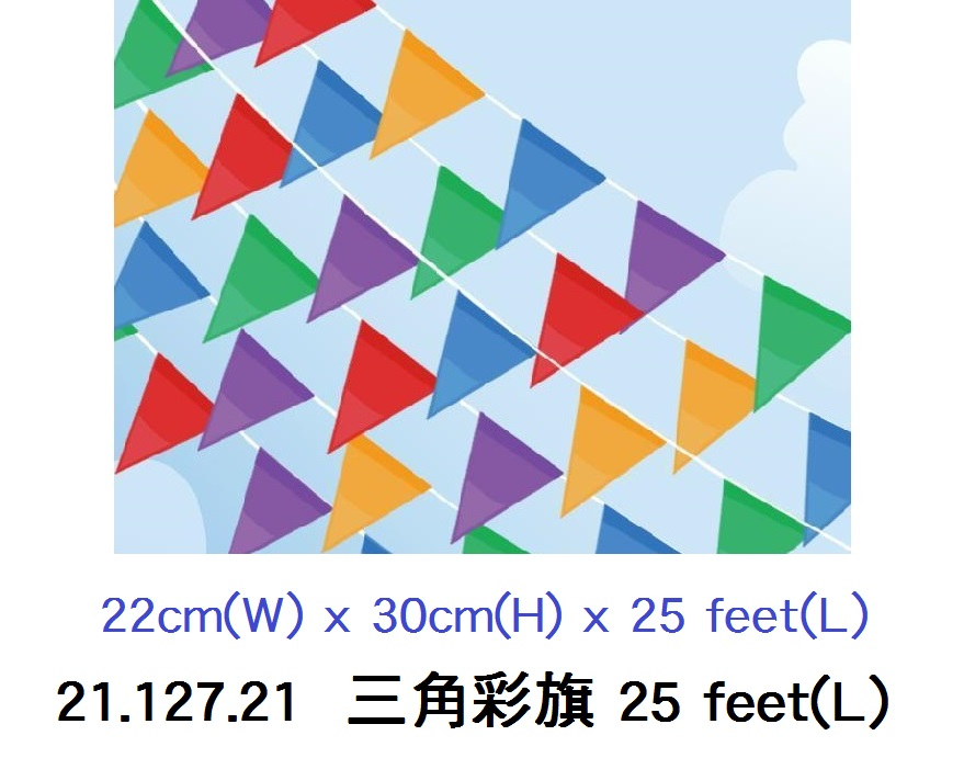 21.127.21 _三角彩旗 25 feet(L)