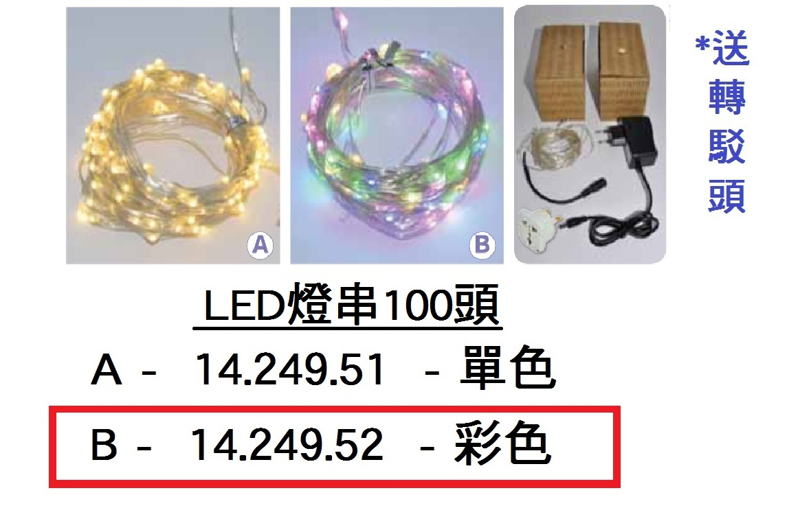14.249.52 _LED燈串100頭 (B款)