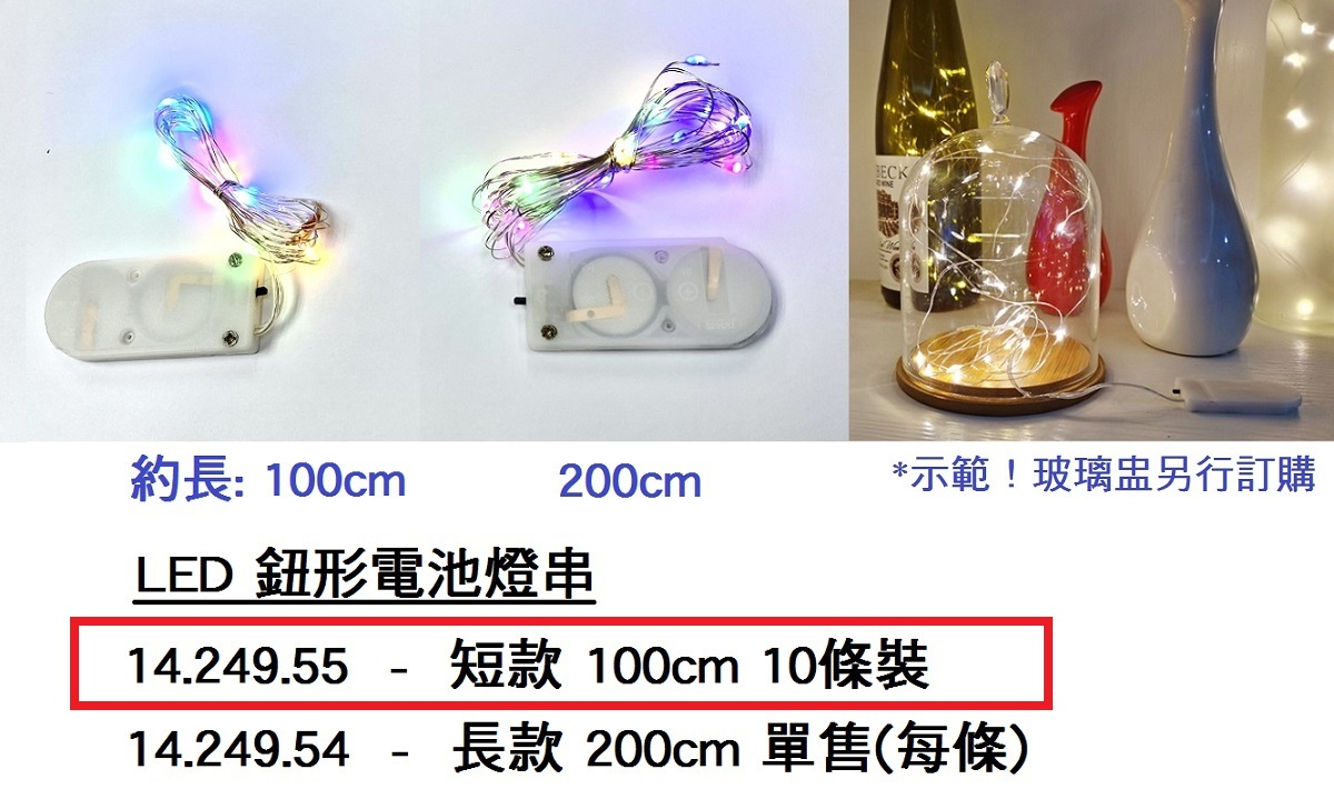 14.249.55 _LED 鈕形電池燈串(短款) 100cm x 10條