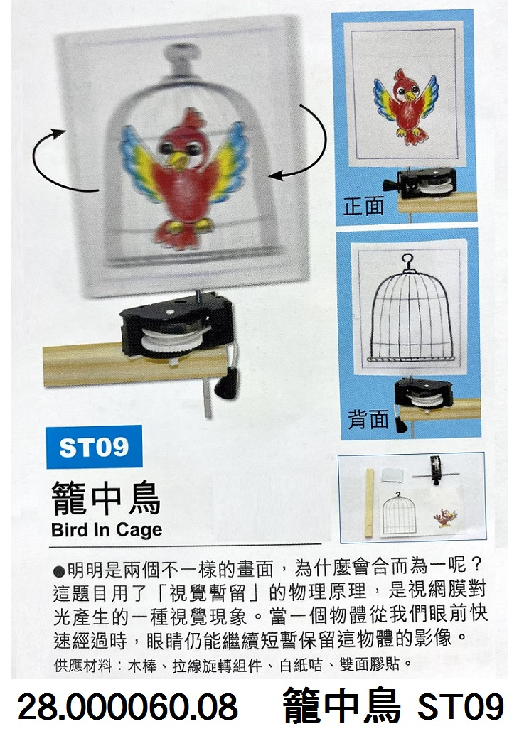 28.000060.08 _籠中鳥 ST09