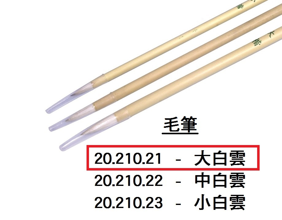 20.210.21 _大白雲