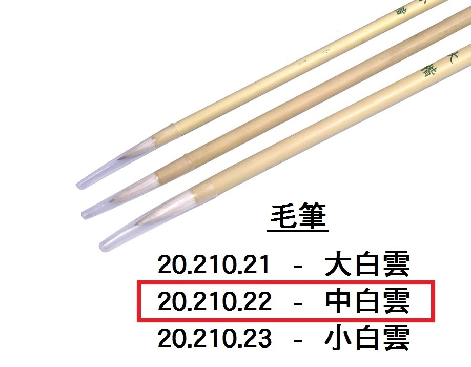 20.210.22 _中白雲