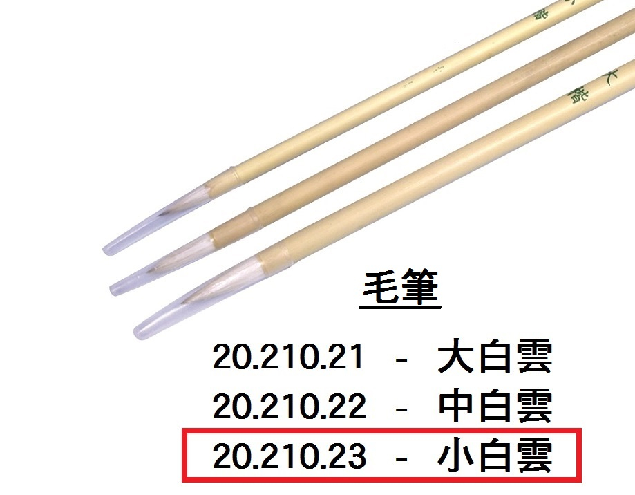 20.210.23 _小白雲