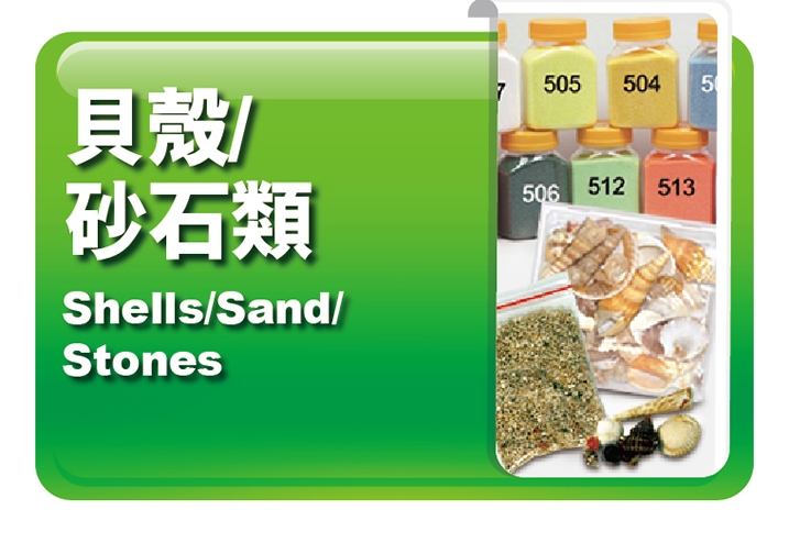 貝殼｜沙石類